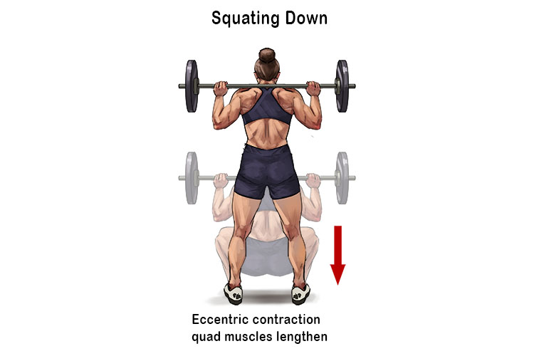 When you squat down to a low position